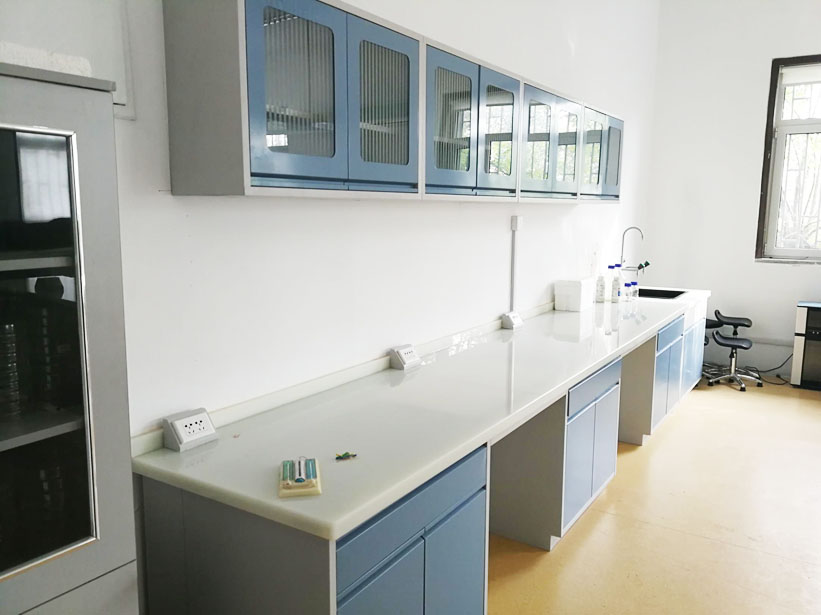 Seed sorting Laboratory of a seed company