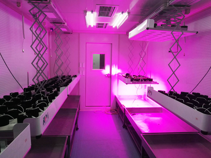 Artificial climate chamber of a base