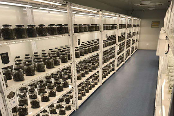 植物组织培养实验室